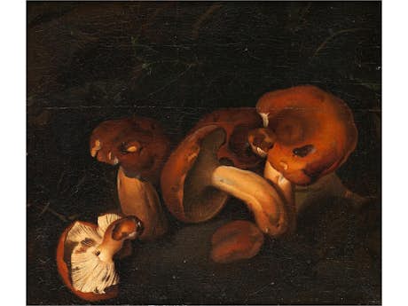 Niccolino van Houbraken, 1663 Messina – 1723 Livorno, zug.
